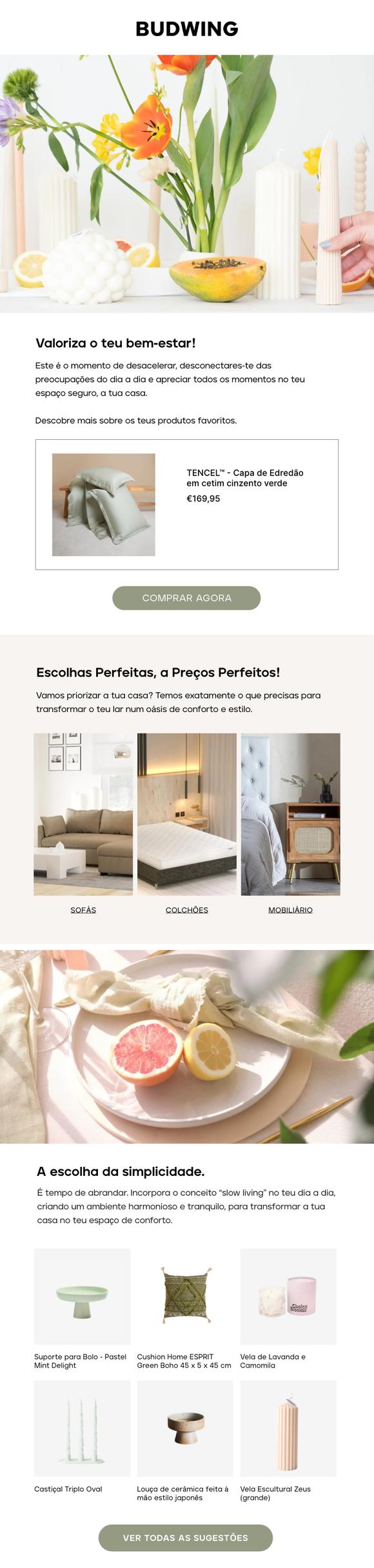 Email desenhado para Budwing